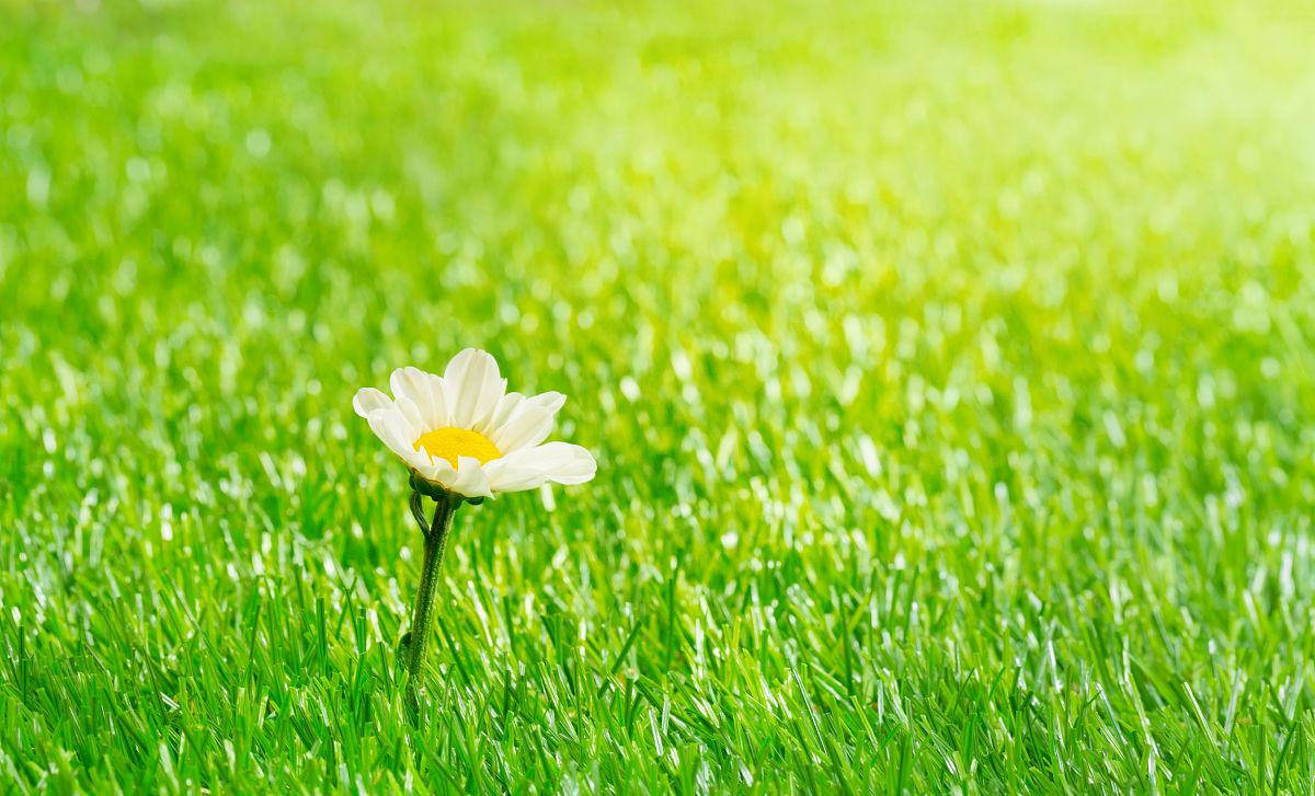 原创            立夏后，多吃3种“高钾菜”，一解乏，二护心，三增免疫，正当季