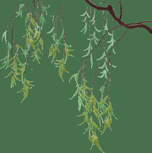 碳水化合物真的是减重路上的“拦路虎”吗