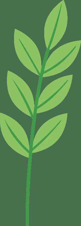 新书推荐丨左宗棠收复新疆重要资料《〈戡定新疆记〉笺注》