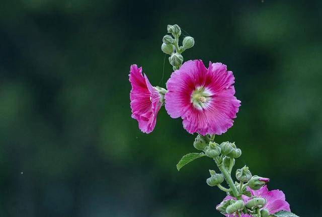 原创            男人想不想你，其实就2个字