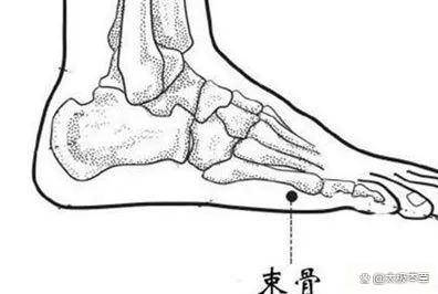 原创            中医：好骨头，吃出来