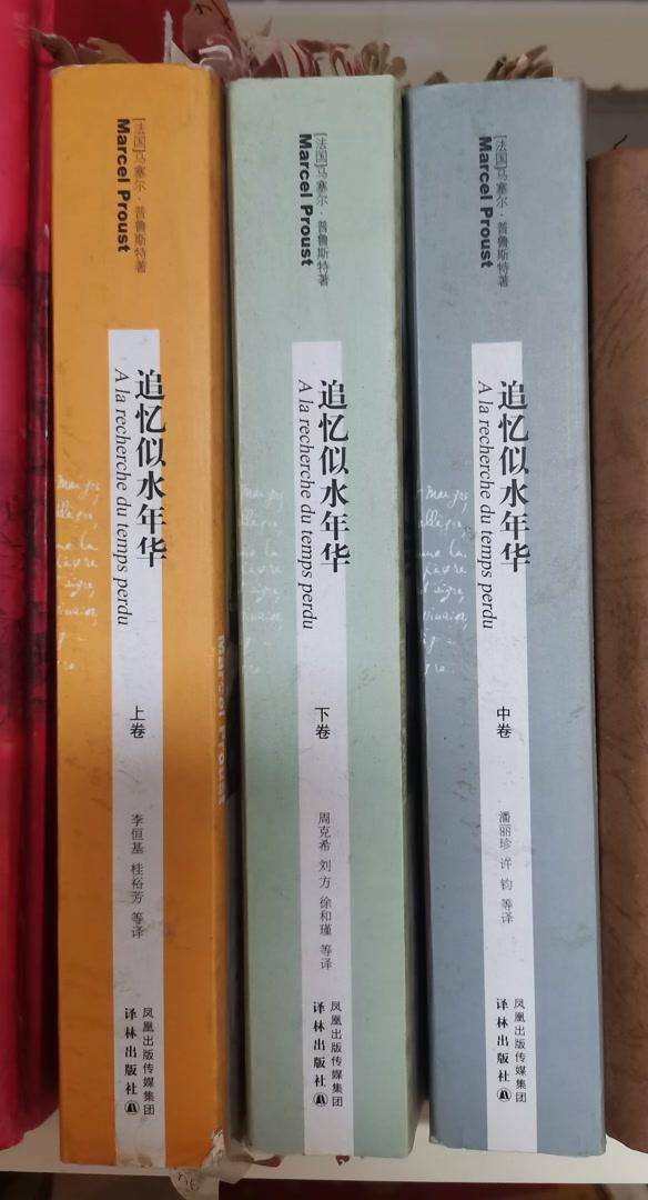 作为艺术鉴赏史的《在斯万家那边》