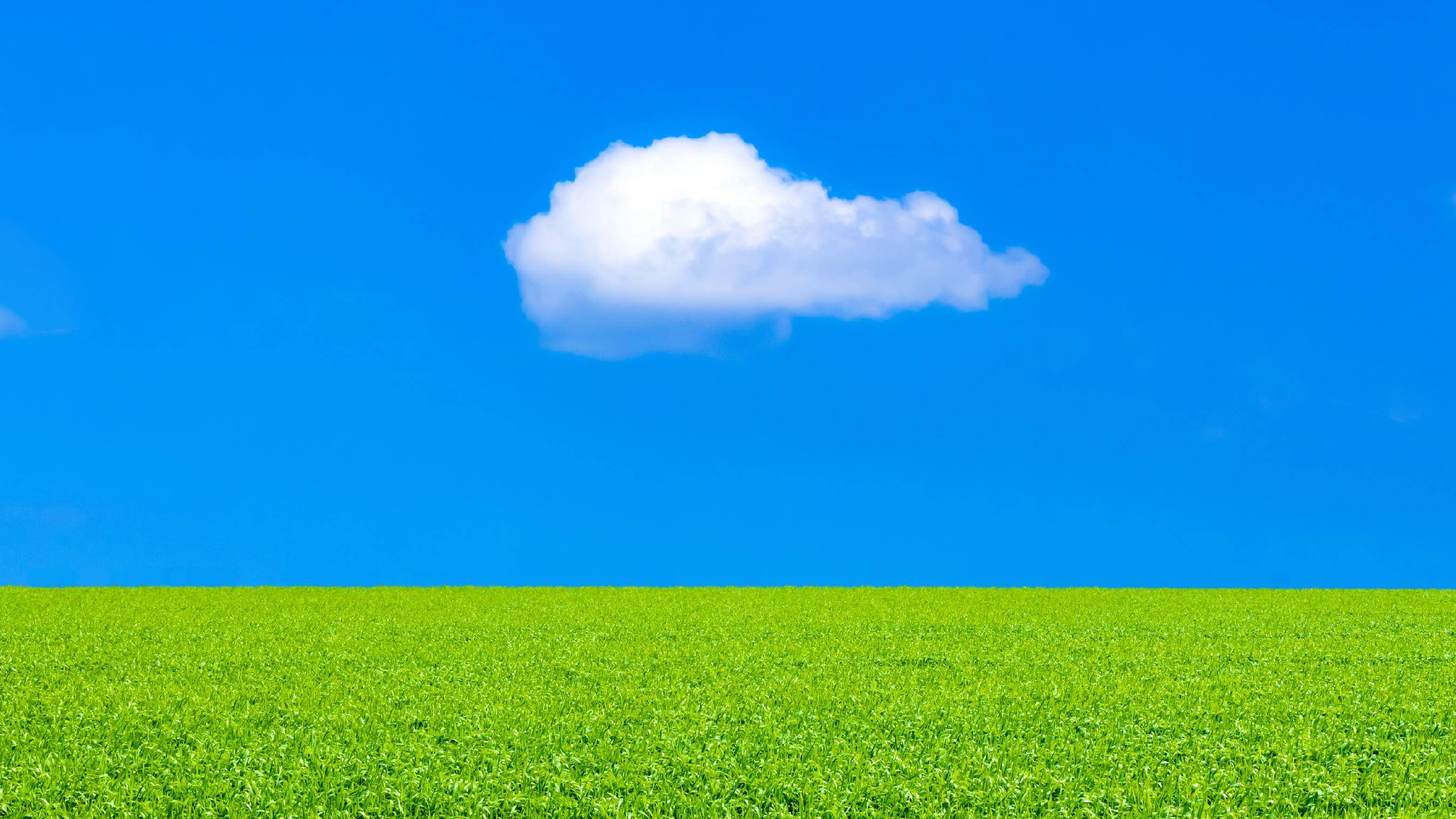 心理学｜考前家长“五不说五不说”：用语言的力量为孩子种上“心理疫苗”