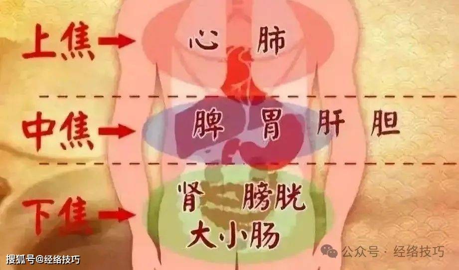 原创            夏日身体易乏，或是气机不畅惹的祸
