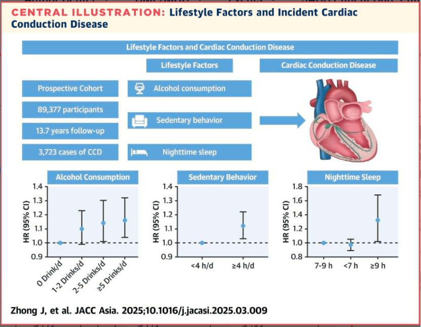 嗜酒、每天久坐≥4小时、每晚睡眠≥9小时均增心脏传导疾病风险！JACC子刊开滦研究最新分析