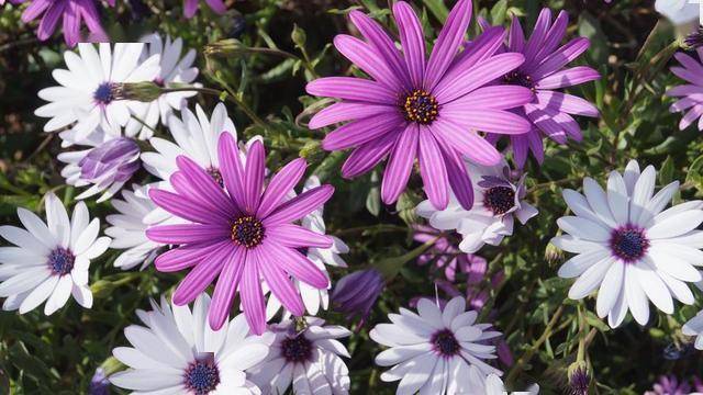 真正在乎你的男人，会有这三种反应，藏不住