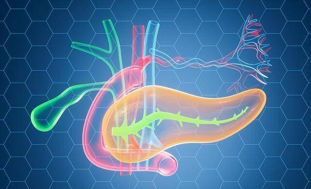 胰岛功能逆转有救了？2025指南曝光两大“逆转绝招”，糖友必看！