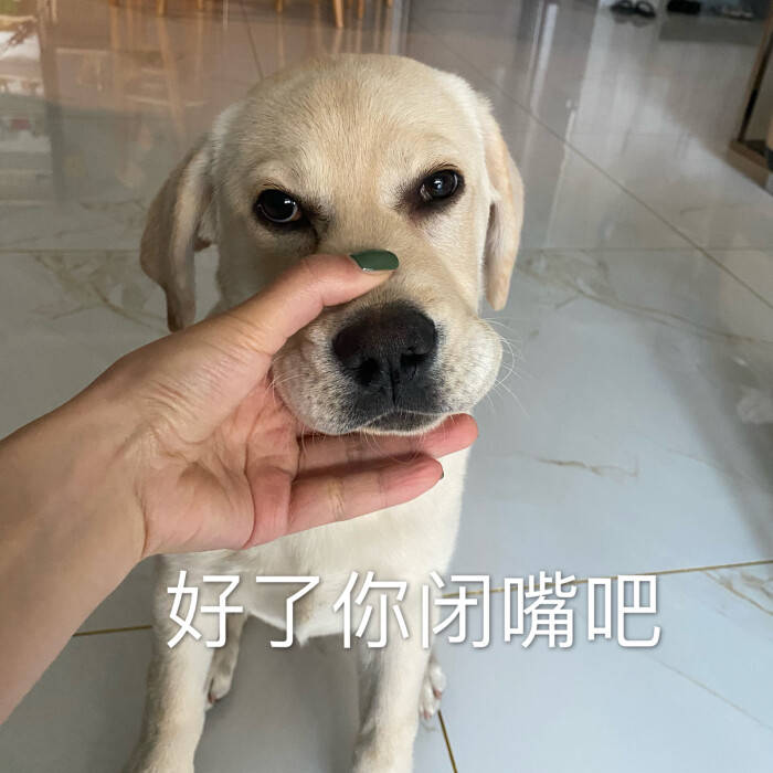 吐槽的艺术与三谋史官的江湖传说