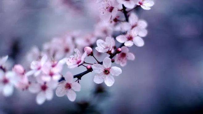 腾辉传媒早安心语｜太阳总是新的，每天都是美好的日子。