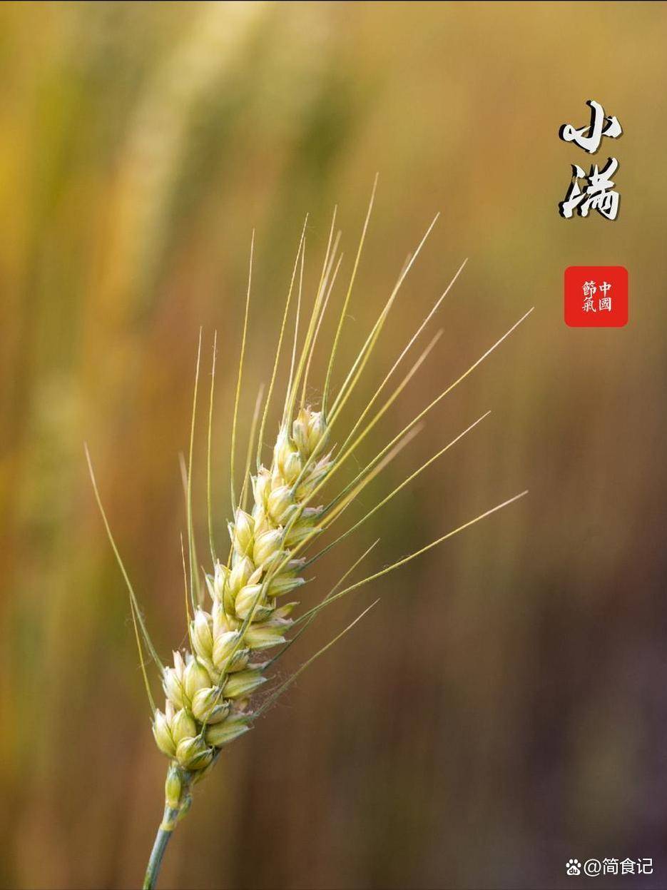 原创            明天小满，不管有钱没钱，牢记：少吃3样，多食3辛，建议了解！