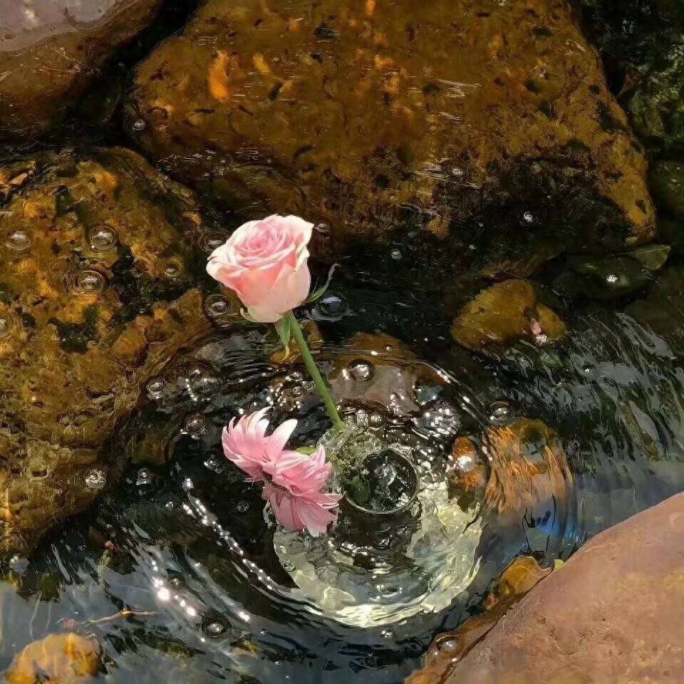 今日份文案分享“|让自由在褶皱里，长成不被定义的形状|”