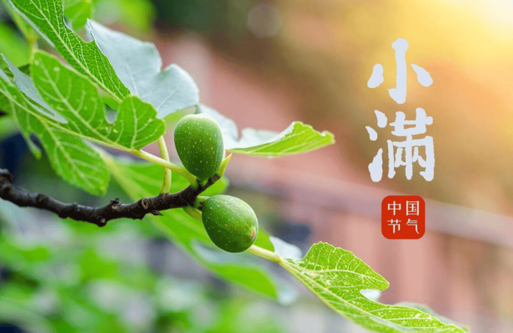 原创            明日小满：吃三食，忌三事，养三心