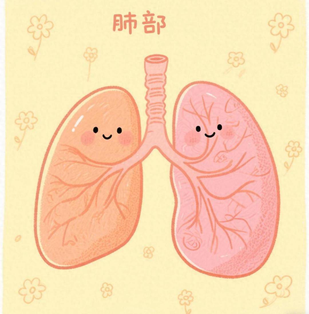 科普 | 解码肺部密语：哮喘背后的科学真相