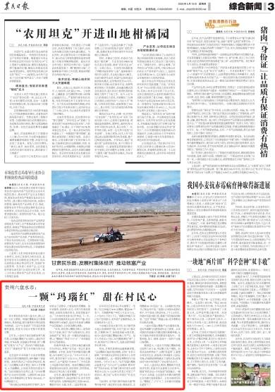 农民日报关注贵州六盘水市： 一颗“玛瑙红” 甜在村民心