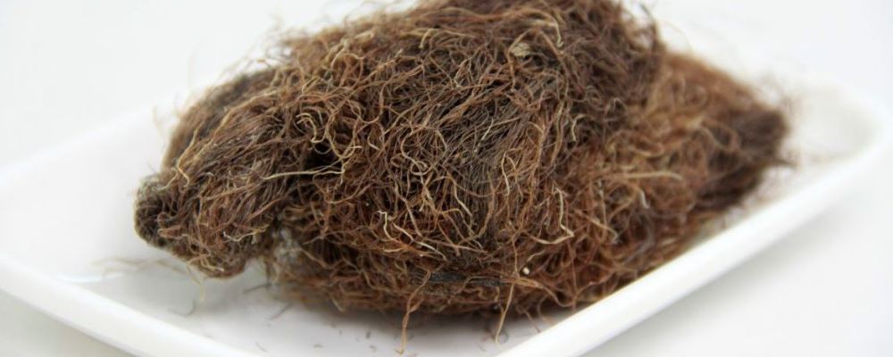 玉米须煮水，乃健康养生中不可或缺之佳品