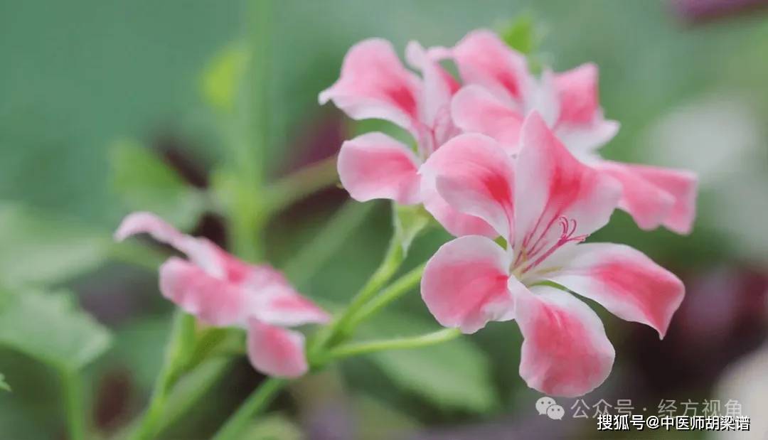 银屑病患者夏天莫要贪凉