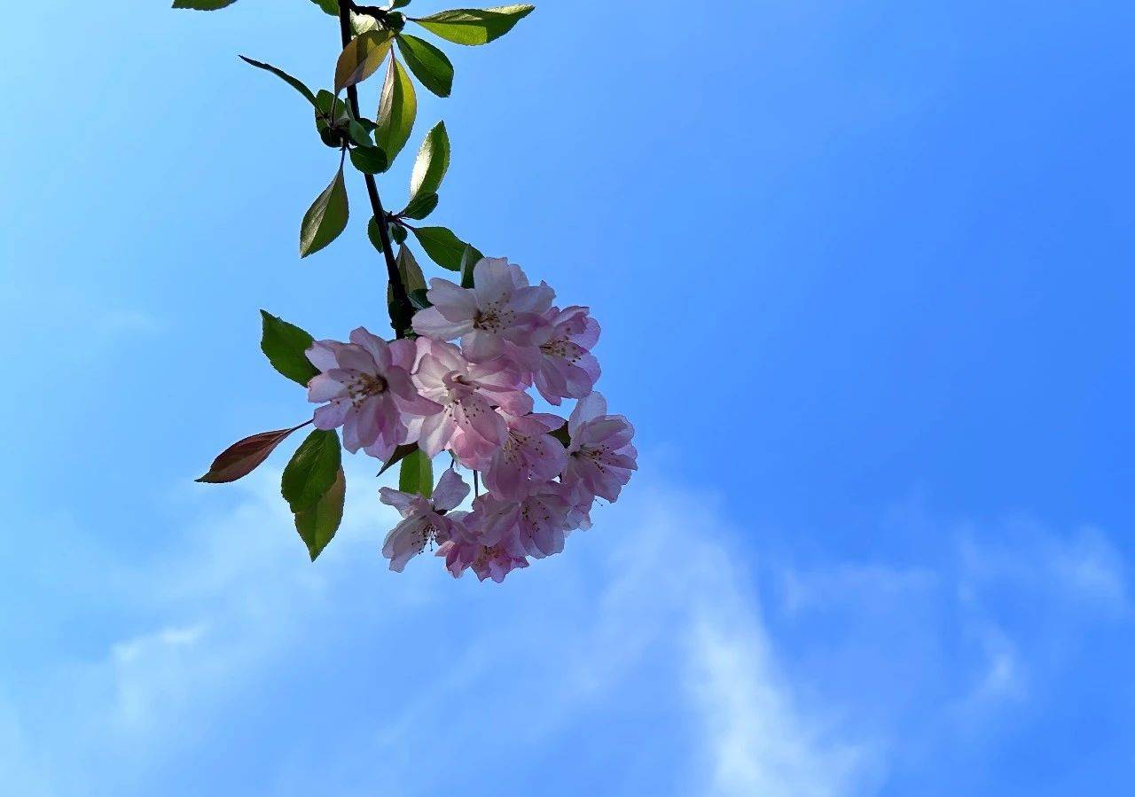 原创            背叛的男人，什么情况下会后悔？有两种情况