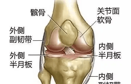 老了还想走得动，每周吃一次，补关节、强筋骨~