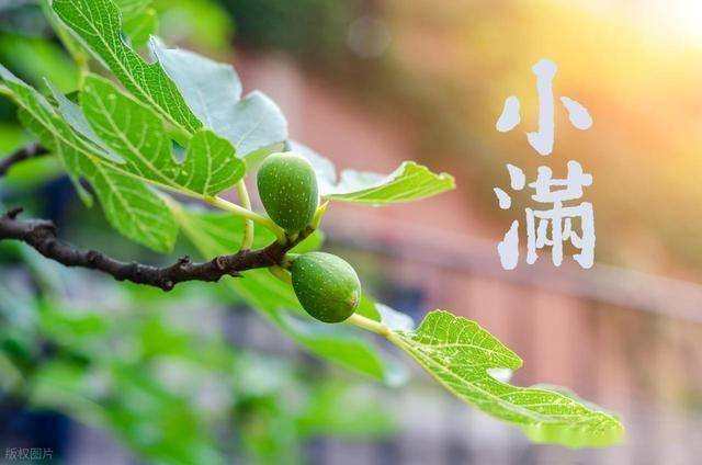 5月21小满，饮食有说法，记得“尝3鲜，吃2苦”，稳健平安度夏天