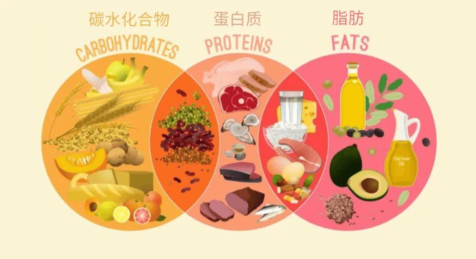 全民营养周 | 这些减肥的坑，你踩过吗？