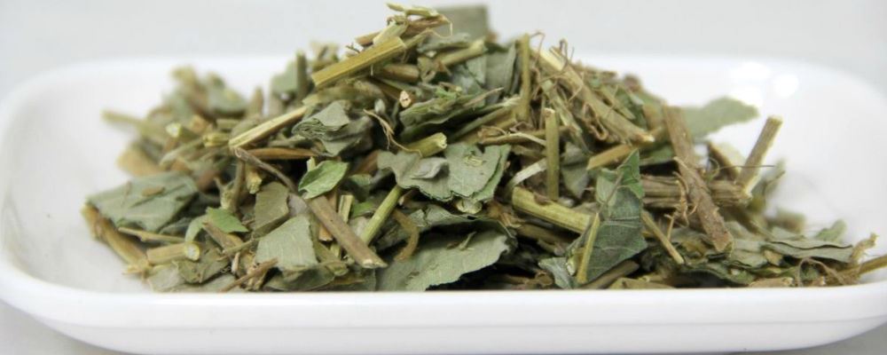 肾结石怎么办 肾结石如何治疗 哪些中药能治疗肾结石