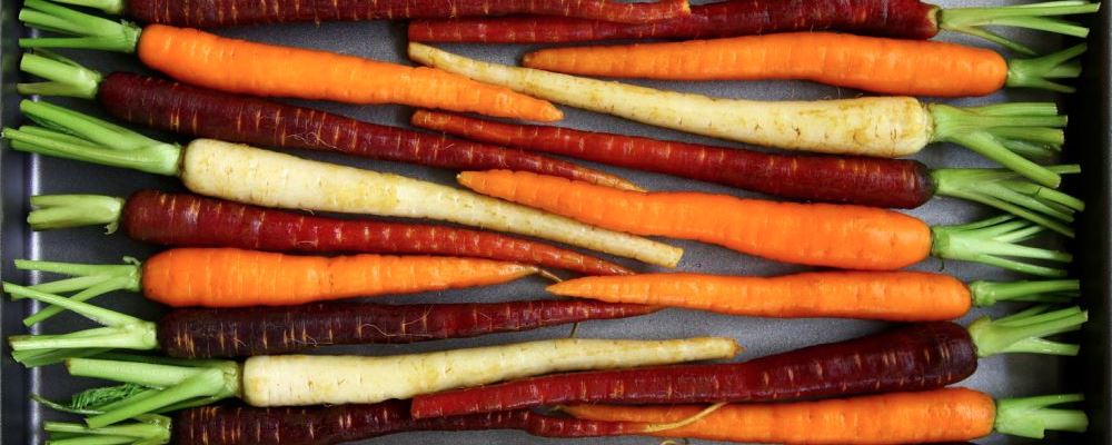 秋季饮食养生该吃啥？推荐这五类超棒食材