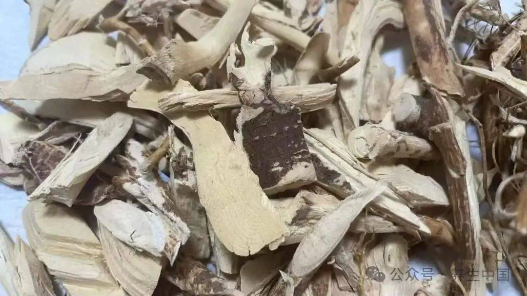 冀商健康：入汤赛人参！从小满吃到三伏，体内湿气全扫光、脾胃舒坦！大肚腩瘪了，一身轻~