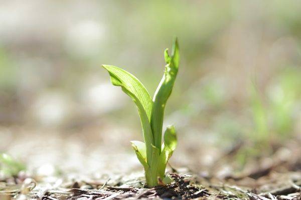 走出强迫症的第一步，从改变这5个认知开始-挖根疗愈分享