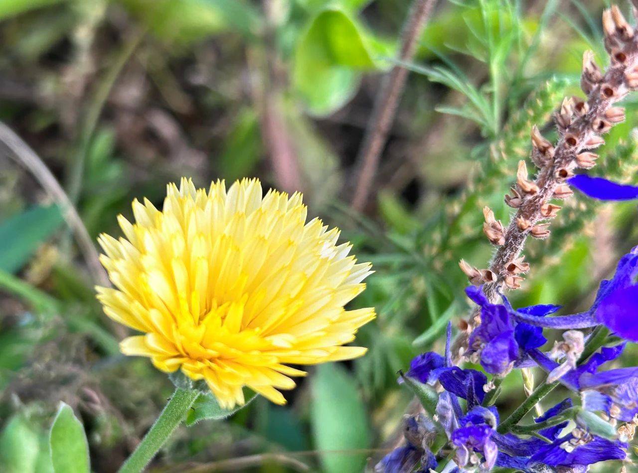 原创            婚姻里，男人看似聪明，却伤夫妻感情的3种行为