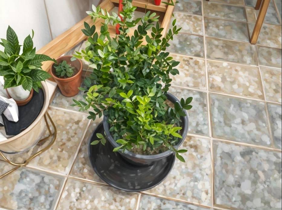 收藏什么字画好 名家字画鉴赏