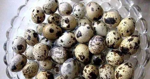 这宝比鸡蛋营养还高，小满后给家人多吃点，调补健脑，浑身舒坦！