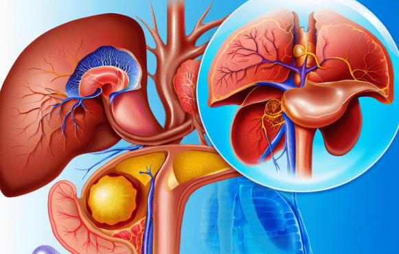 肝不好，全身垮！为什么说 “养肝就是养命”？