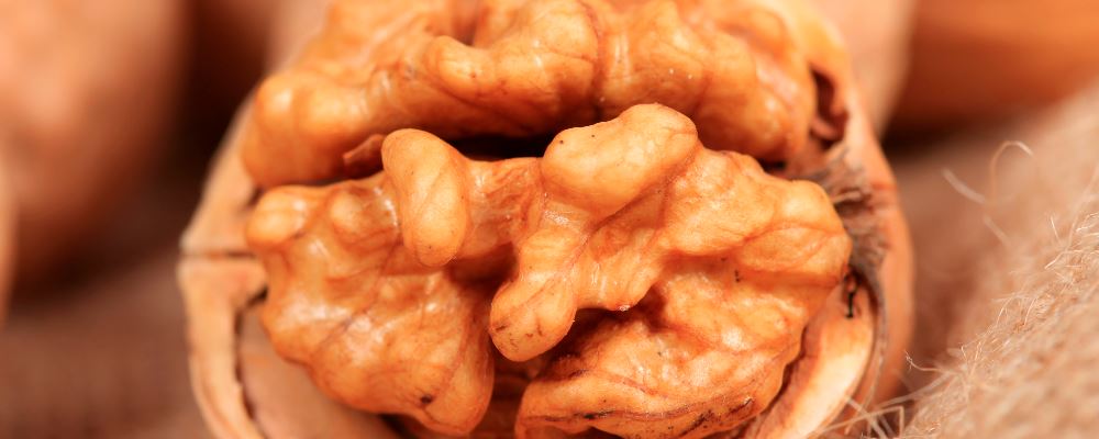 春季易咳嗽，四道药膳可润肺止咳，助你安然度春