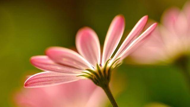 如果一个男人愿意向你透露这三件私事，说明他已经依赖你