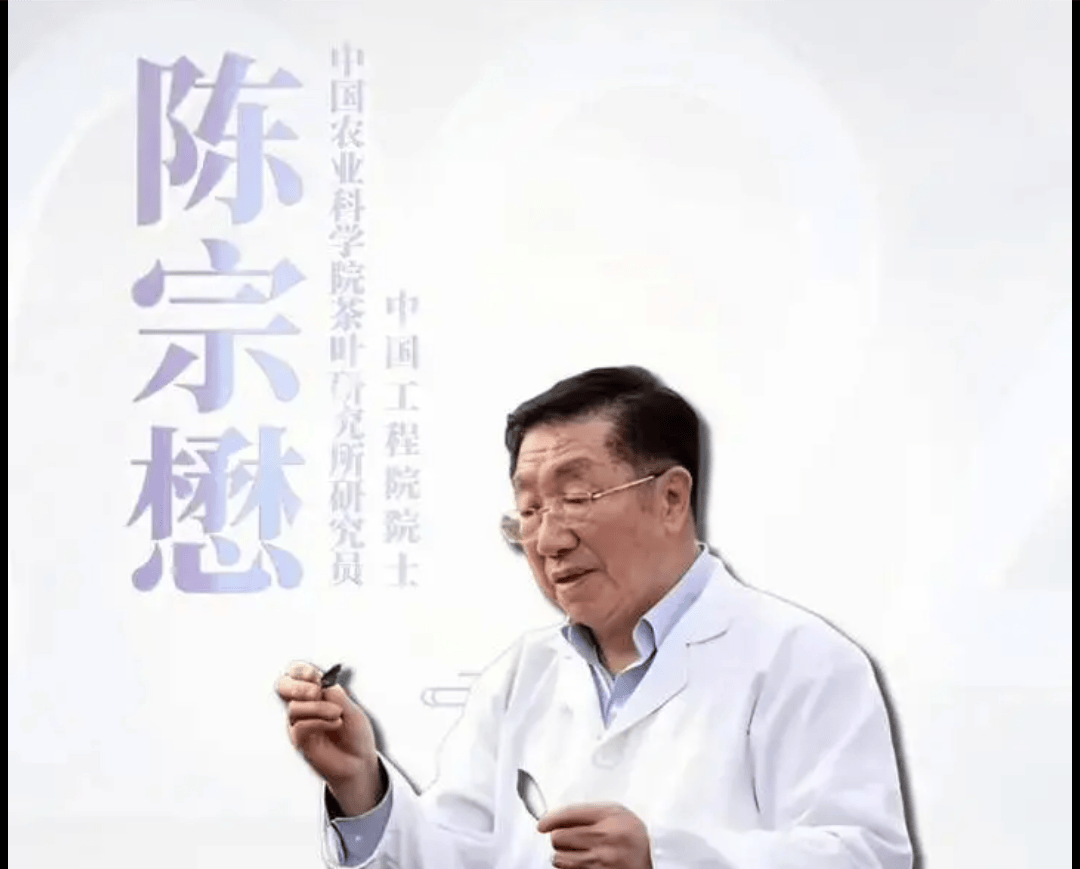 大健康院士为普洱茶代言背书：科学赋能健康生活
