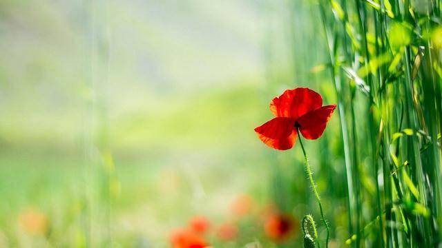 如果男人把你当外人，会有这些具体的态度变化