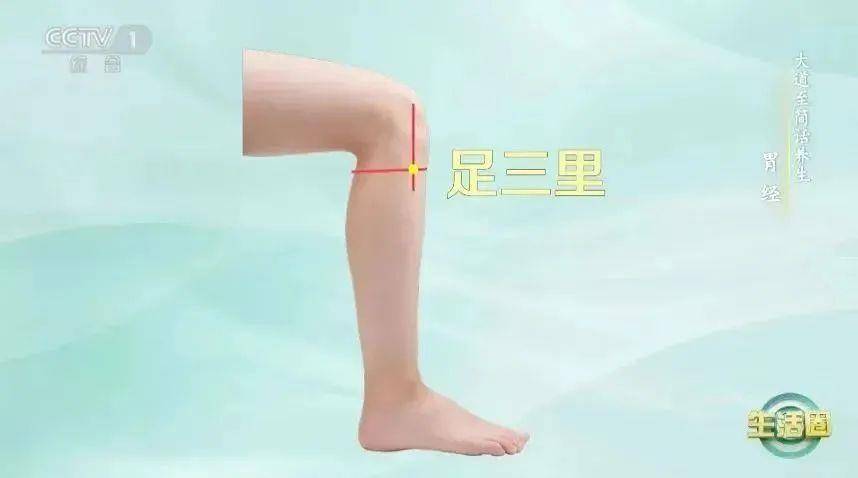 边吃饭边看视频会损耗气血！做好“三个一”帮你把气血补回来