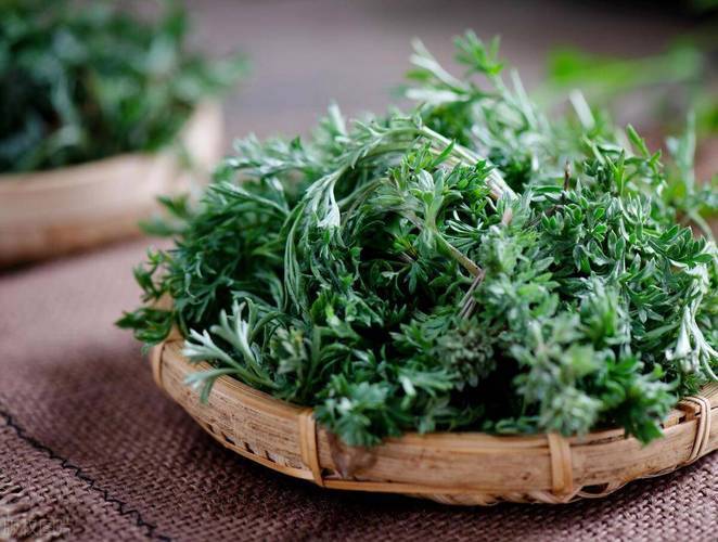 养生：吃荠菜的好处