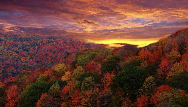 孤独，成就独立，释放自由