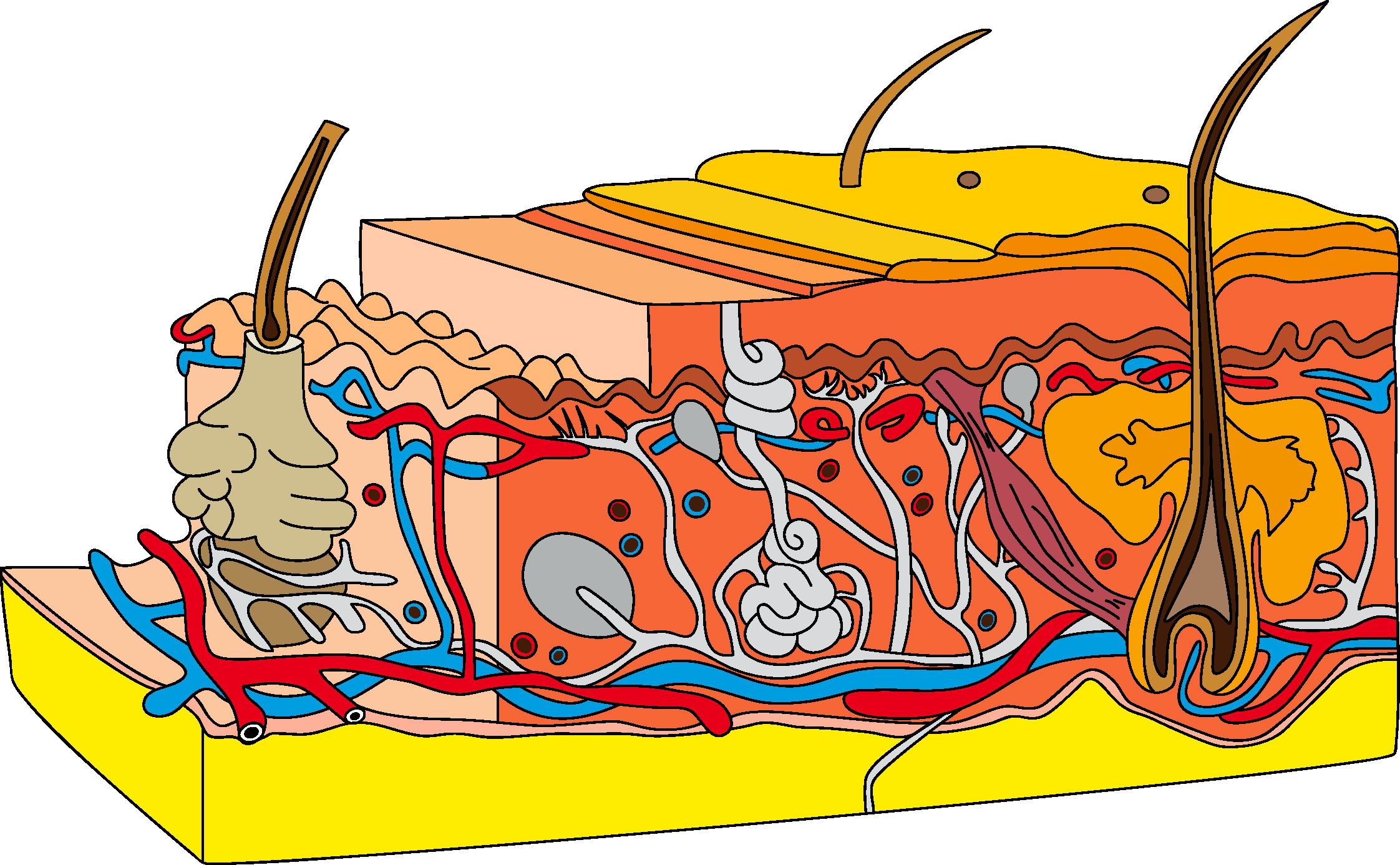 美容仪真是智商税？我坚持三个月后彻底改观