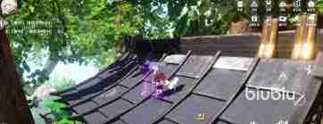 开放空间兔怎么样-开放空间兔好不好