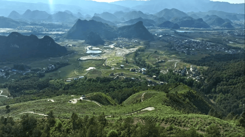 江华：这个五一 赴一场茶山之旅