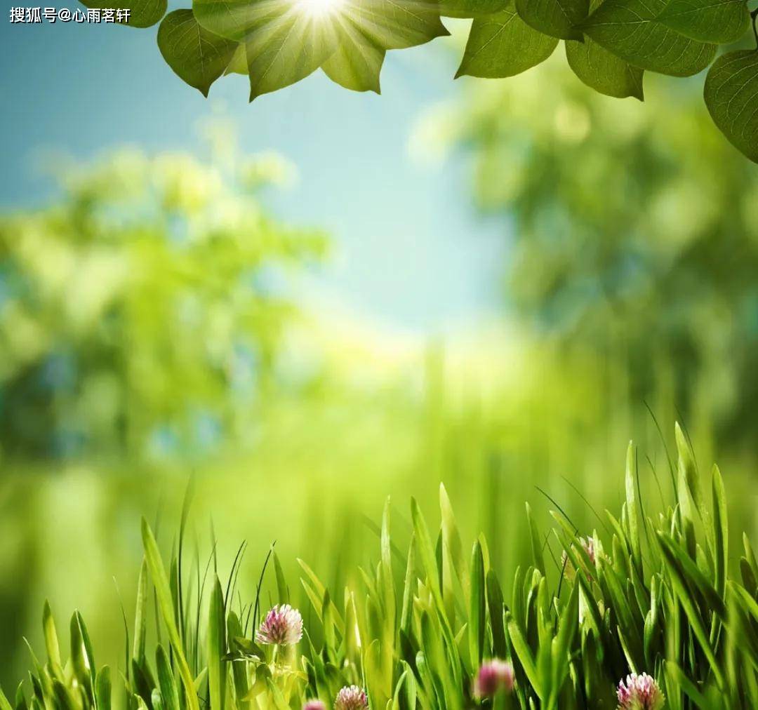 原创            抑郁症自救：不放大负面情绪，会化解不良情绪，不要改变既定事实