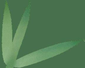 为什么你总是瘦不下来？可能是「吃动平衡」没做好！