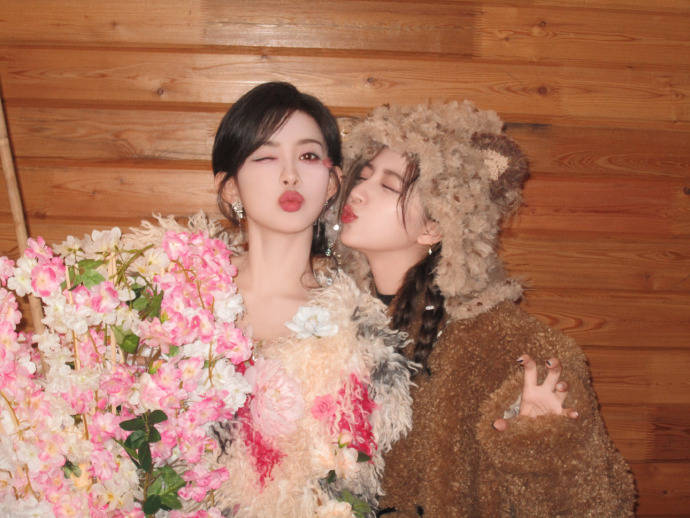 孟子义花仙子带来的wink