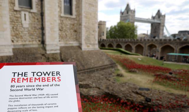 伦敦塔：装置艺术纪念二战停战80周年