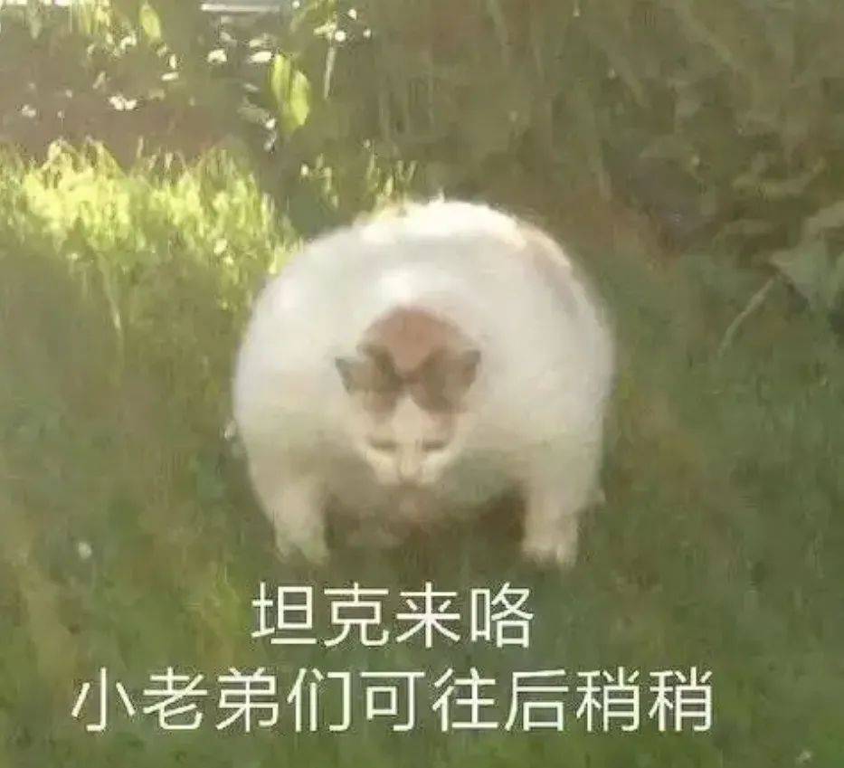 全民营养周 | 减肥≠节食+猛练！做到这几点才是关键