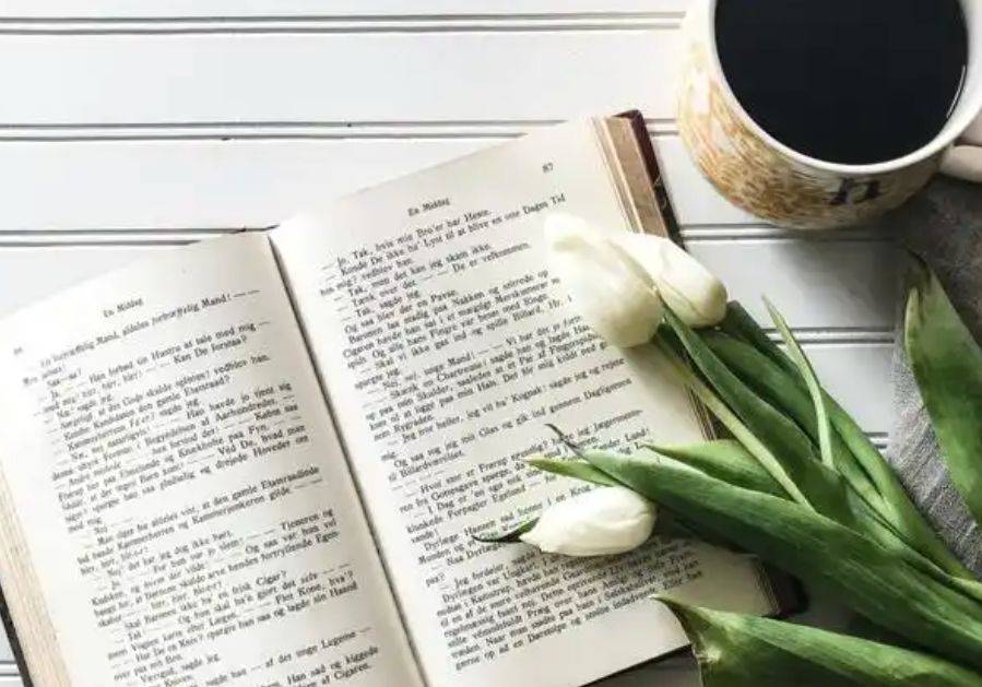 河北中盈文化传媒：书籍力量，知识普及桥梁