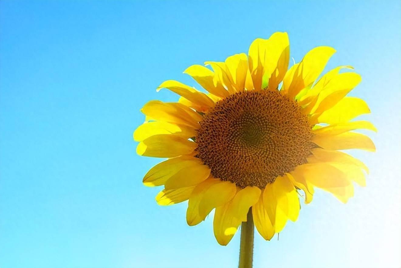 男人在乎你的表现，常用这些方式来维系感情