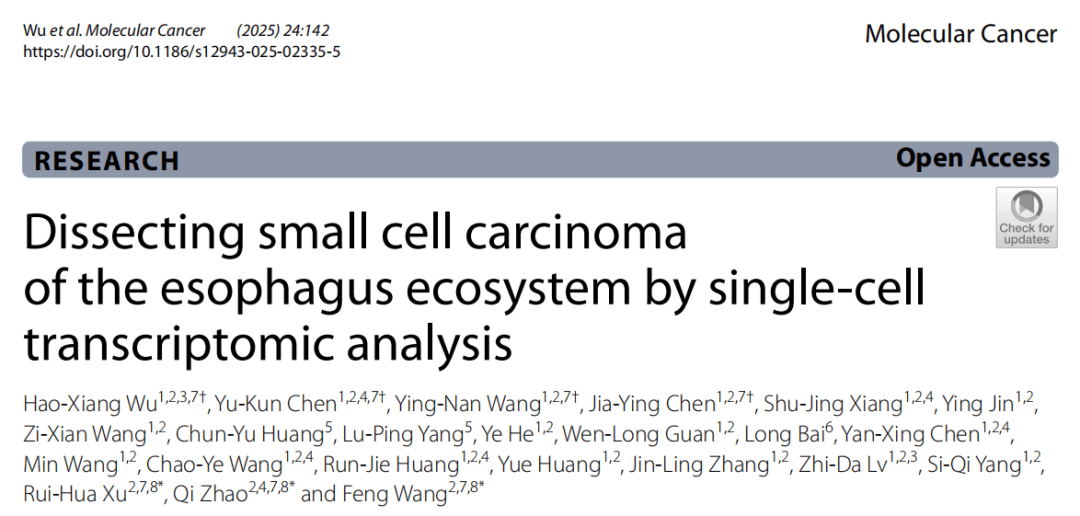 罕见瘤种新突破！中肿徐瑞华、王峰、赵齐教授团队绘制全球首个食管小细胞癌单细胞转录组图谱
